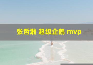 张哲瀚 超级企鹅 mvp